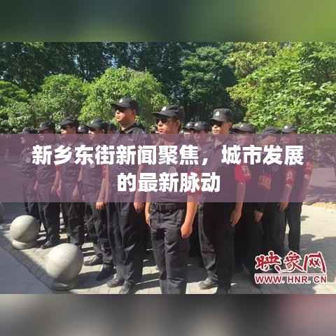 新乡东街新闻聚焦,城市发展的最新脉动