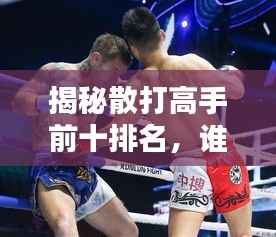 揭秘散打高手前十排名,谁称霸武林之巅?