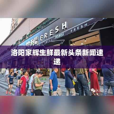 洛阳家辉生鲜最新头条新闻速递