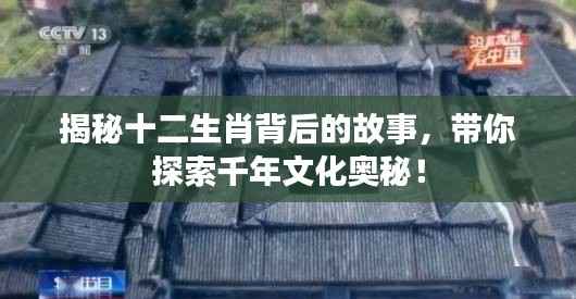 揭秘十二生肖背后的故事，带你探索千年文化奥秘！