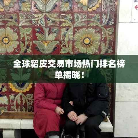 全球貂皮交易市场热门排名榜单揭晓！