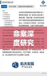 命案深度研究,探究原因与应对策略,专题分析揭示真相