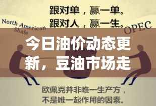 今日油价动态更新，豆油市场走势分析与行情速递