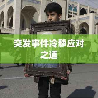 突发事件冷静应对之道