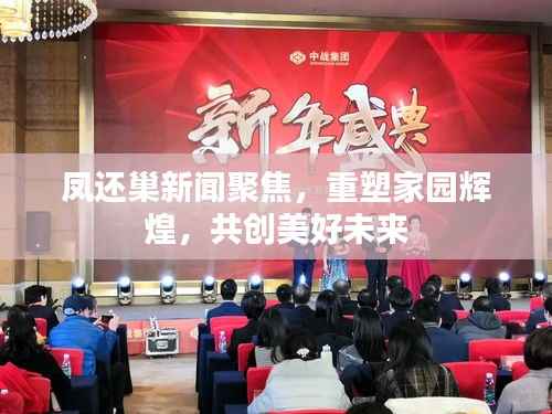 凤还巢新闻聚焦,重塑家园辉煌,共创美好未来