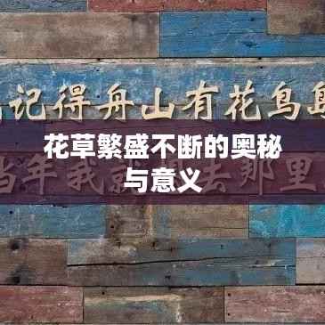 虎背熊腰 第2页