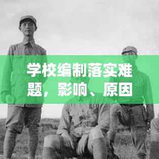 学校编制落实难题,影响、原因及解决策略