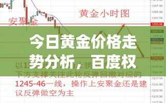 今日黄金价格走势分析，百度权威数据解读
