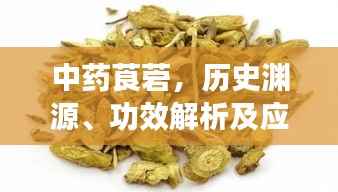 中药莨菪，历史渊源、功效解析及应用探究